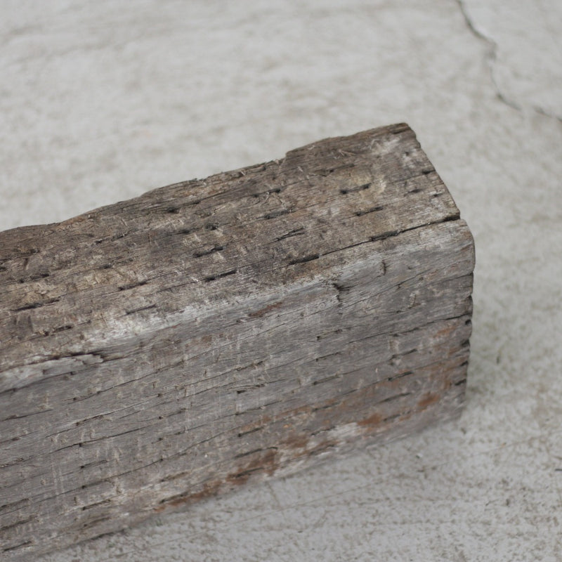 DIY Wood “Eucalyptus” ユーカリ 丸太