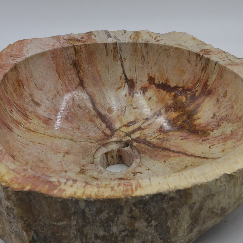 Wash Bowl Petrifiedwood
