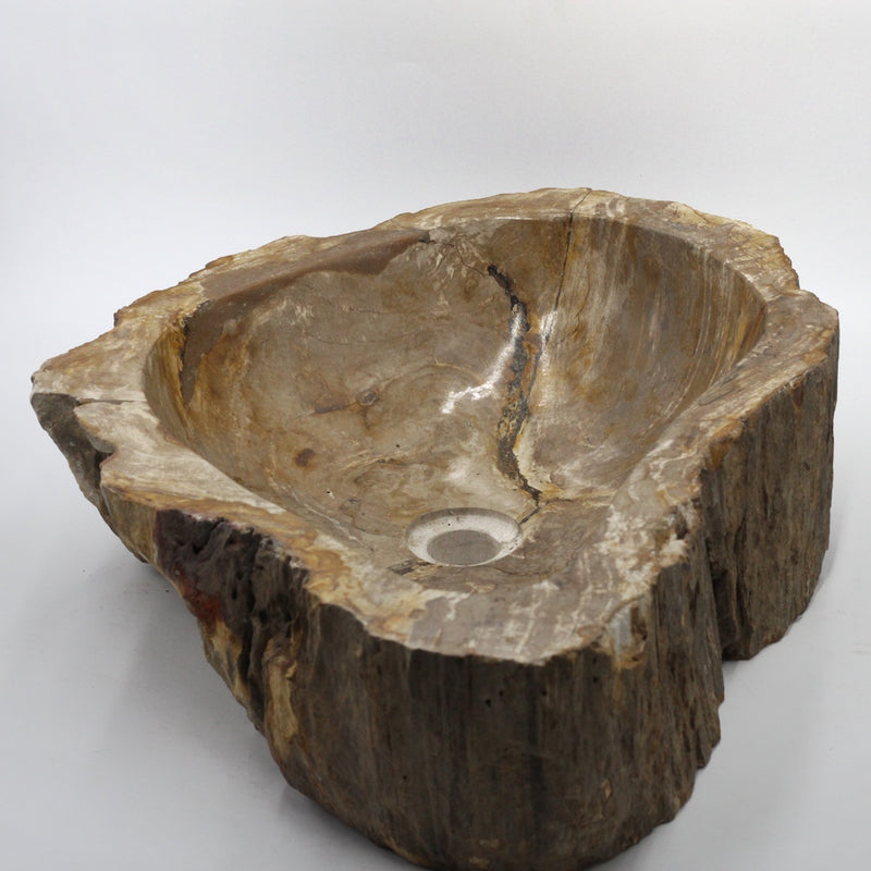 Wash Bowl Petrifiedwood